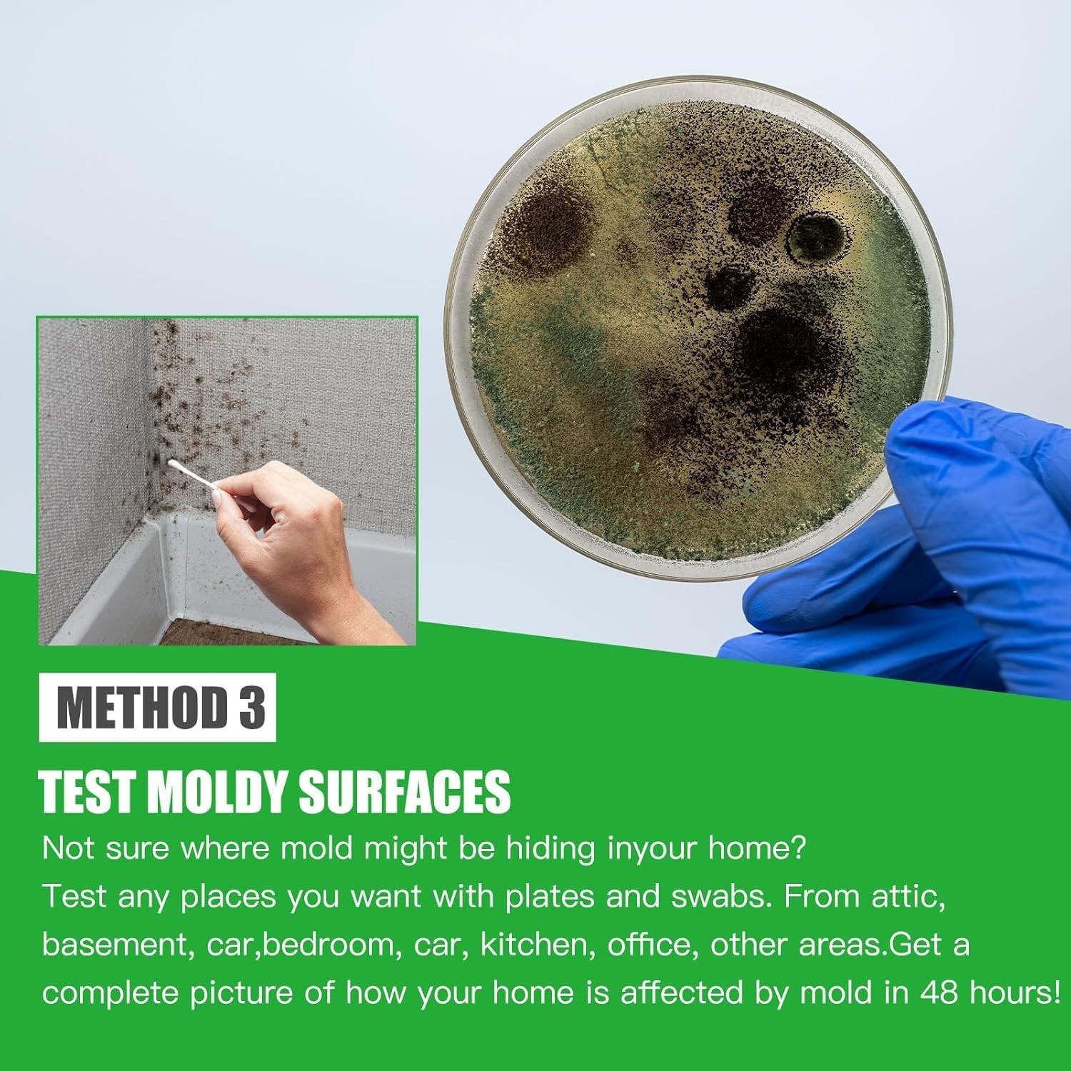 Complete DIY Mold Testing Kit with Free Lab Analysis & Identification Guide