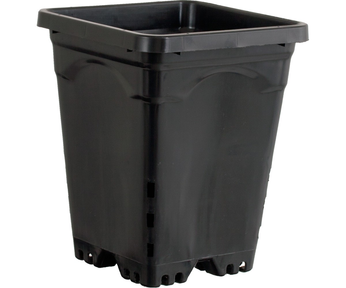 Active Aqua 7 x 7 Square Black Pot, 9 Tall, case of 50