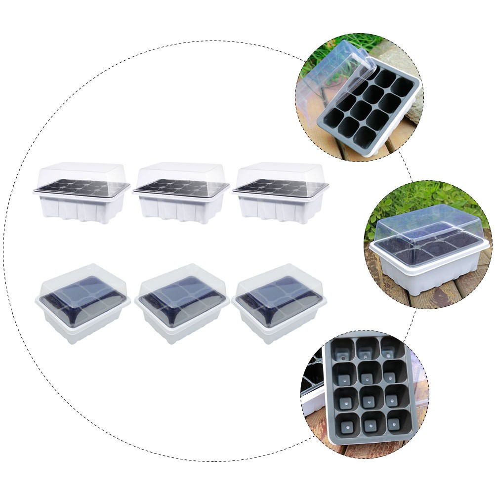 Multi Plastic Plant Starter Boxes for Home with Simple Structure Design 6 Pcs