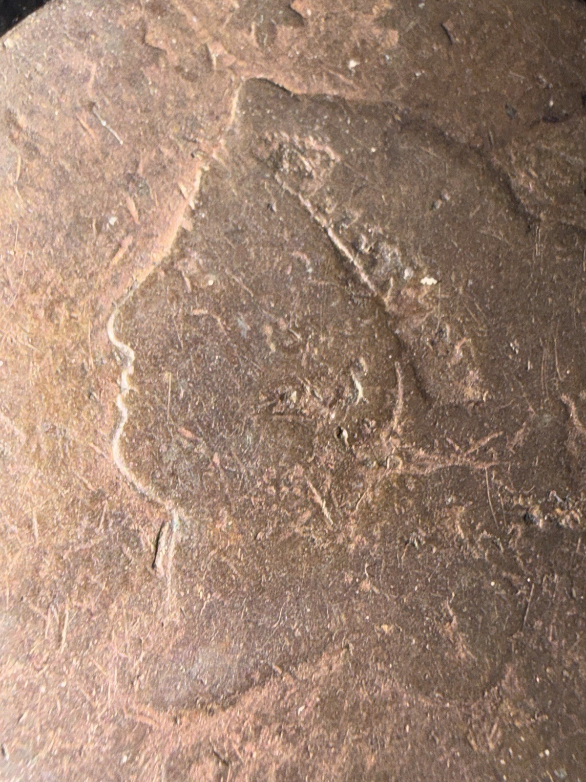 1818 Large Cent AG/G