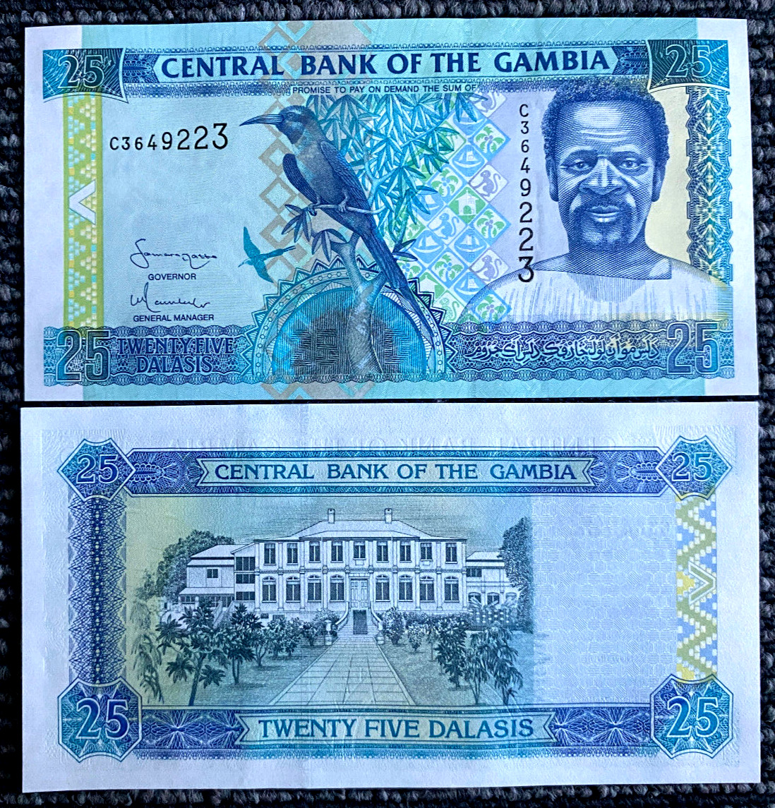 Gambia 25 Dalasis 1996 Banknote World Paper Money UNC Currency Bill Note