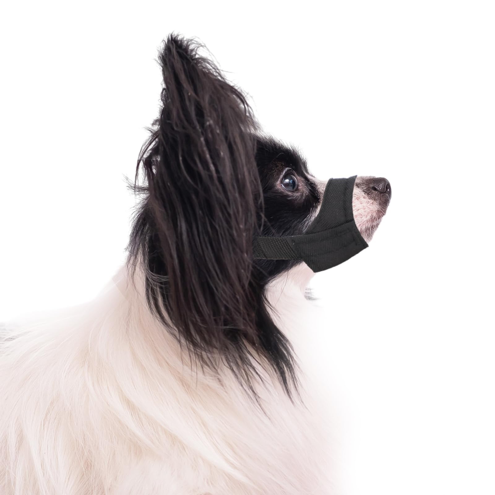 PEUTIER Short Snout Dog Muzzle, Adjustable Muzzle for 4.25-5.5, black