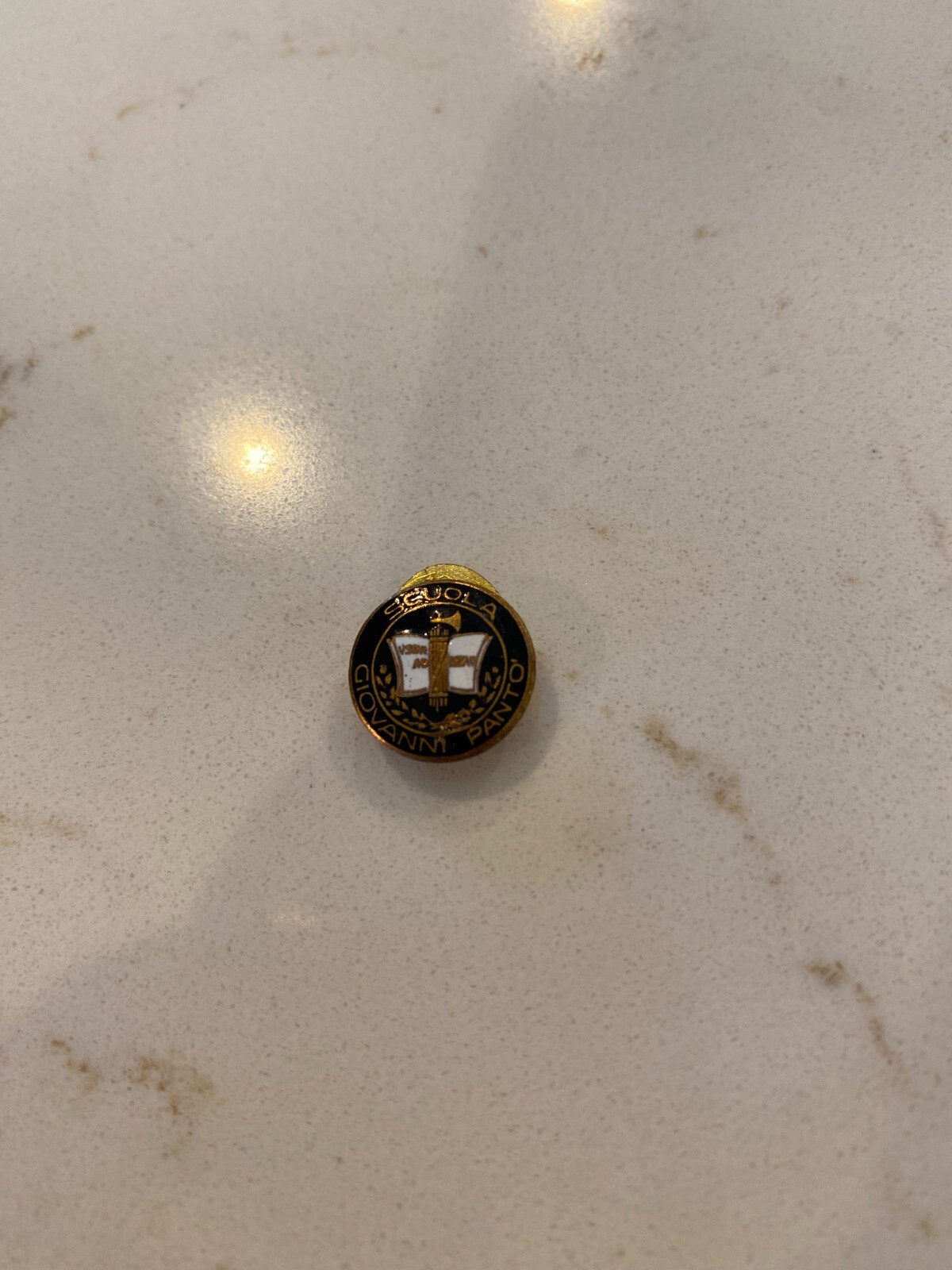 #292G WWII Italian Twenty Years Social Republic School of Giovanni Panto pin