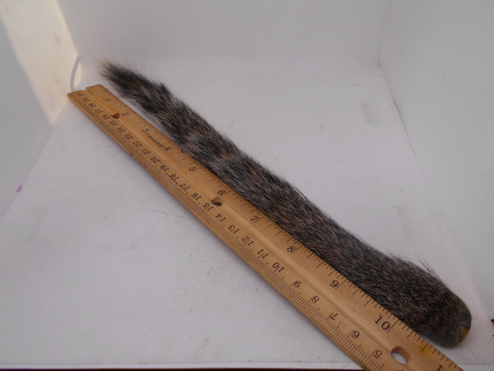 SQUIRREL TAIL - Premium Fly Tying Material - Natural Fox, Gray, Red Pine, & Dyed
