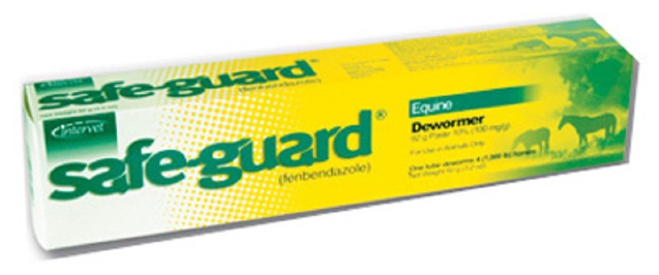 Ivesco 11214734 Safe-Guard 92 Gram Equine DeWormer for Horses