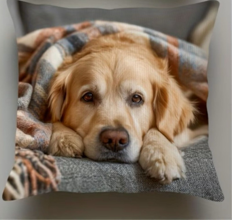 Golden Retriever Dog--Zippered Pillow Cover-14 x 14-inch