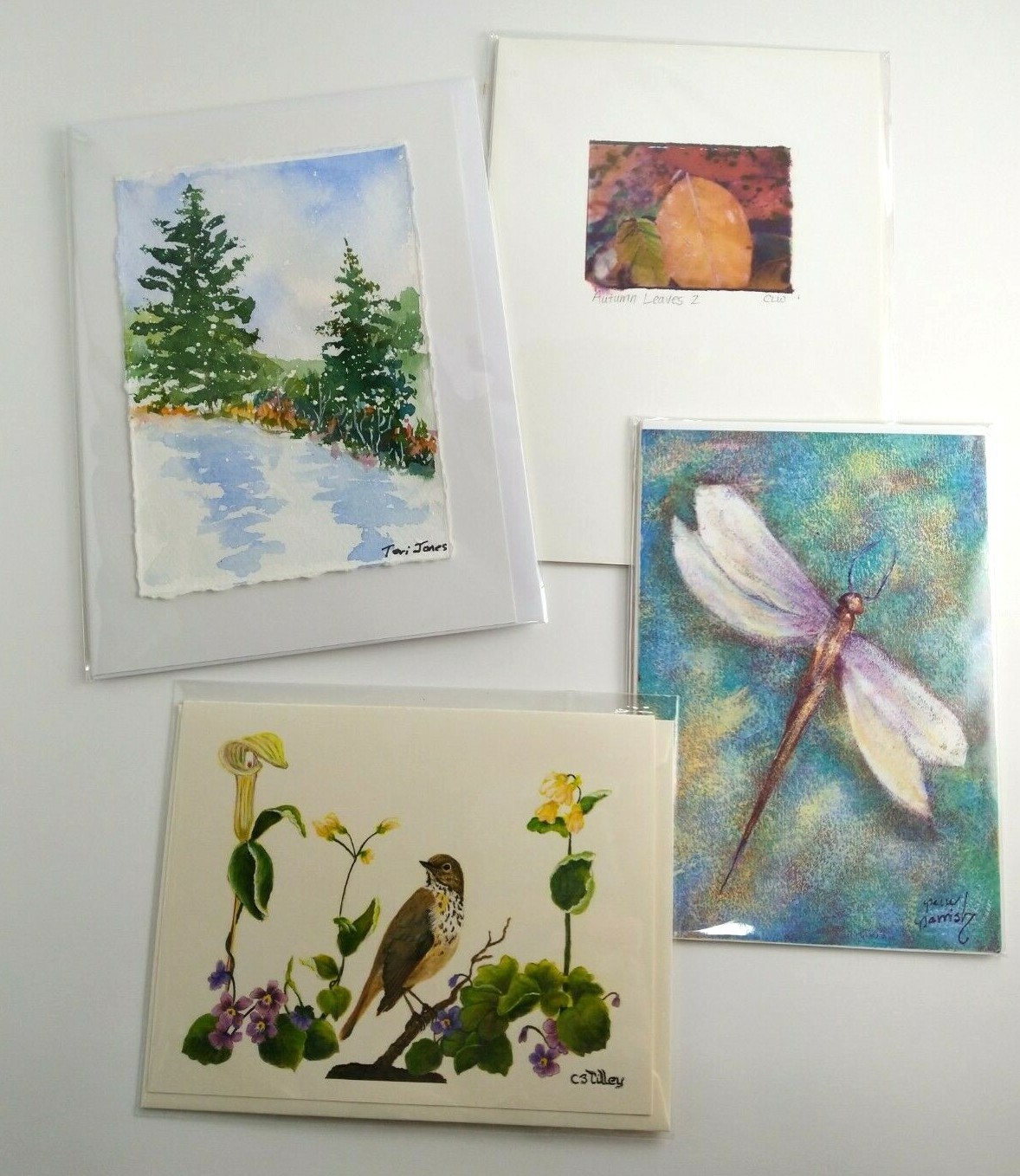 NEW Set of 4, Watercolor Prints Image Transfer Note Card Stationery, Nature Bird