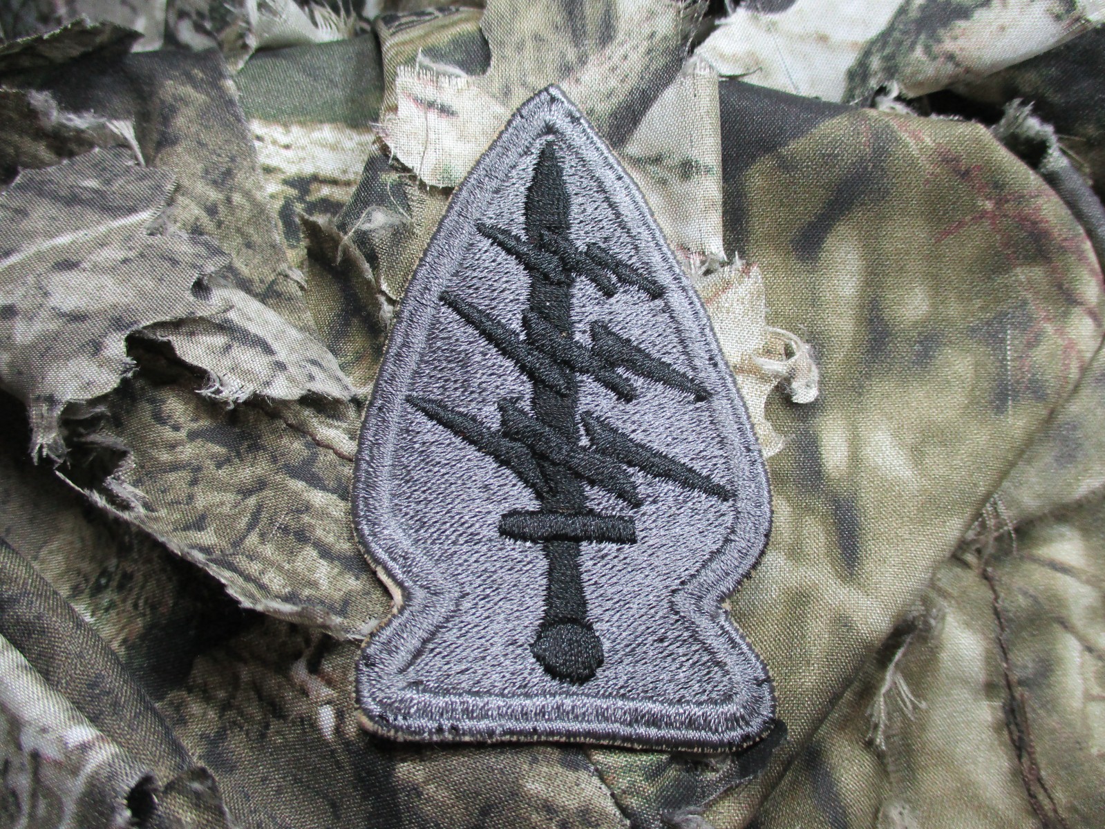 Special Forces Patch