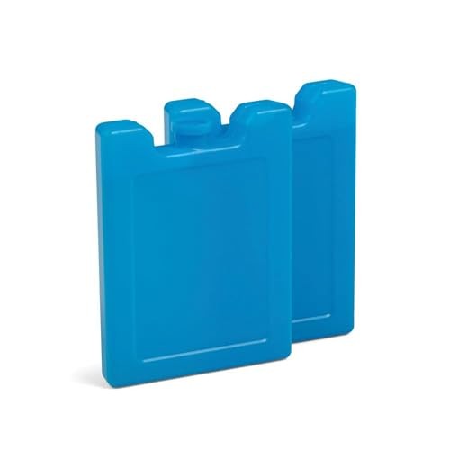 Maxcold Ice Block 2PK Small