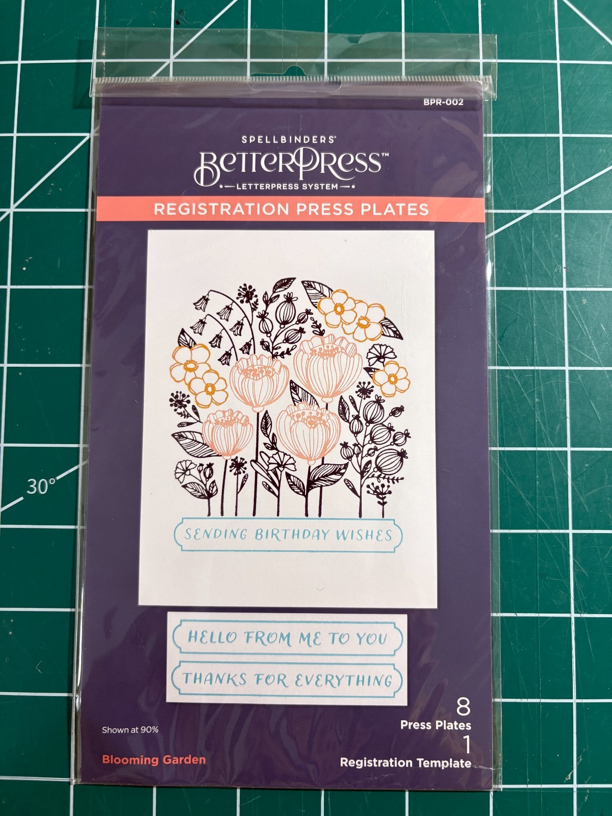 Spellbinders BetterPress Blooming Garden Registration Press Plates - NEW