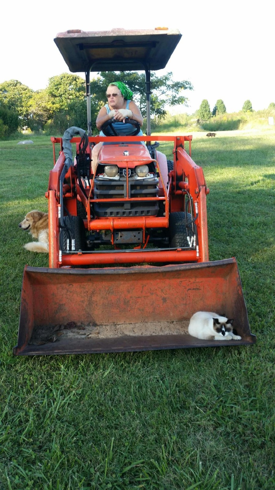Kubota B2400 Tractor and LA351 Front end Loader plus