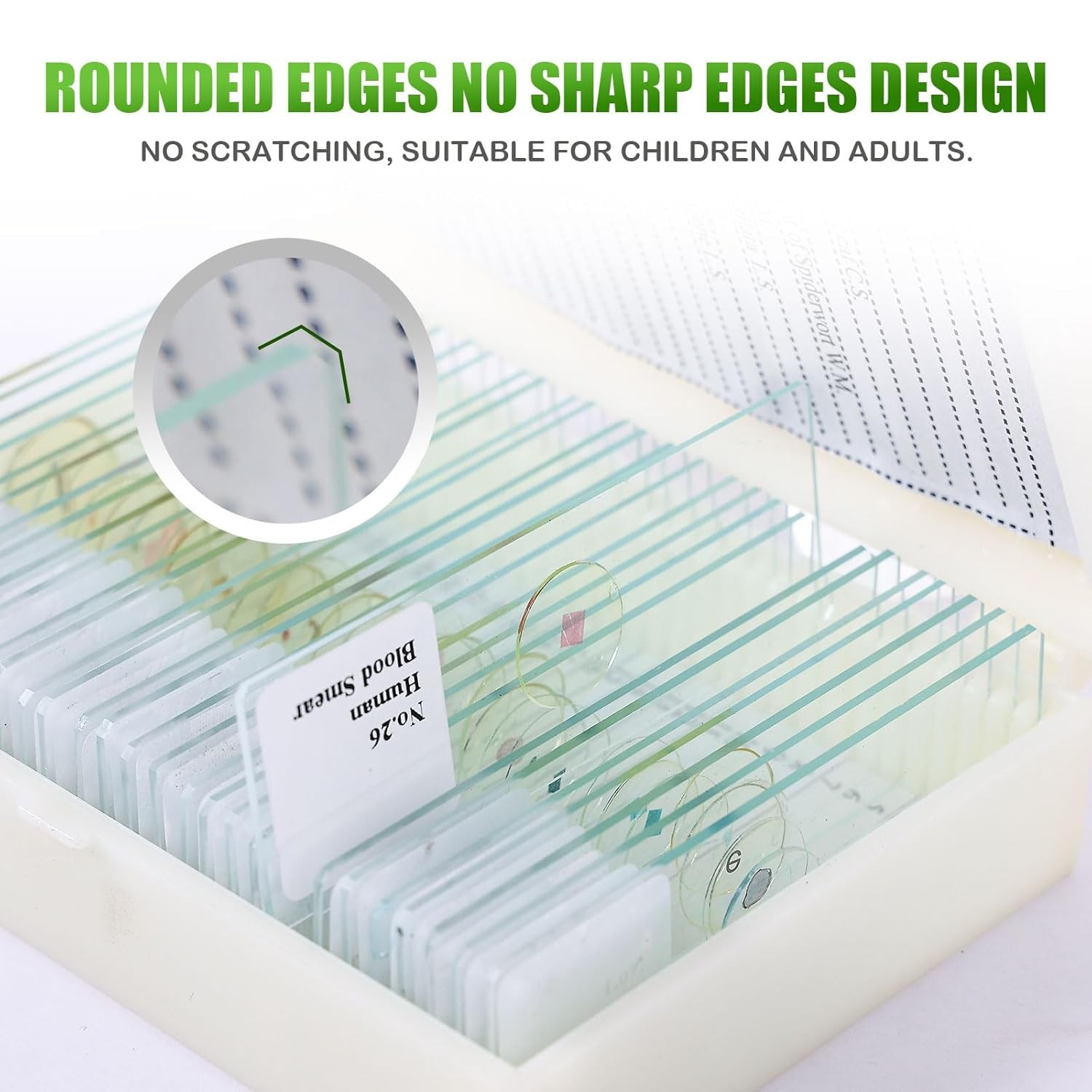 120 Microscope Slides with Specimens, Plant, Insect, Animal, Algae Slide Set for