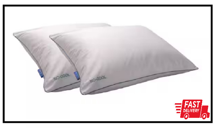 Isotonic down Alternative Standard Pillow (Set of 2)