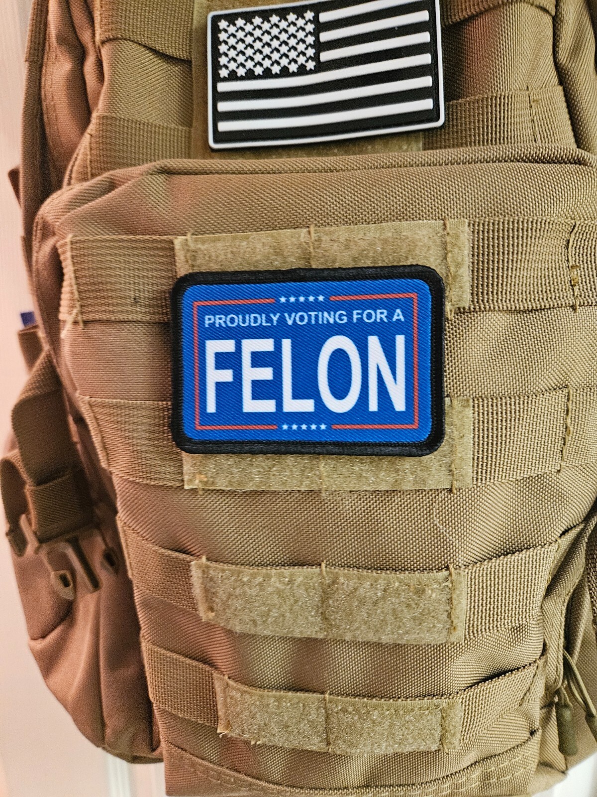 Proudly voting for a felon 2"x3" hook & loop backing patch funny meme