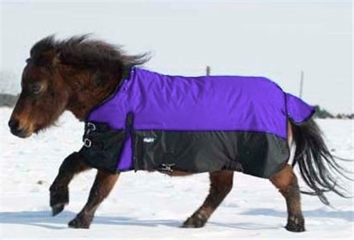 Miniature Horse Winter Turnout Blanket - Purple - 600D - Sizes 36" up to 51"