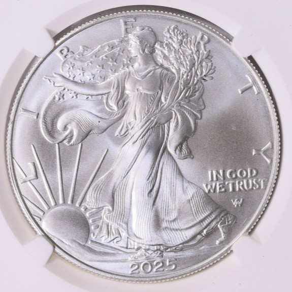 2025 1 oz American Silver Eagle Coin