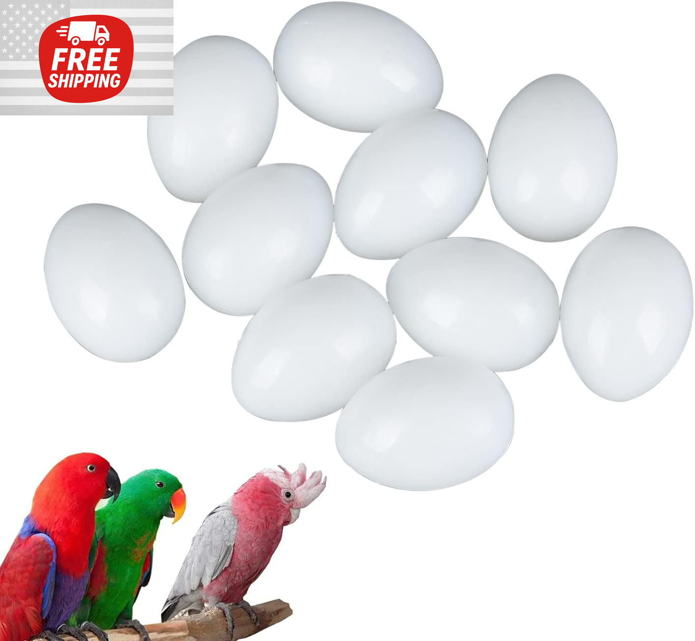 10 Pcs Hatching Eggs for Parrots Macaws Cockatoos and Eclectus - 37mm x 27mm