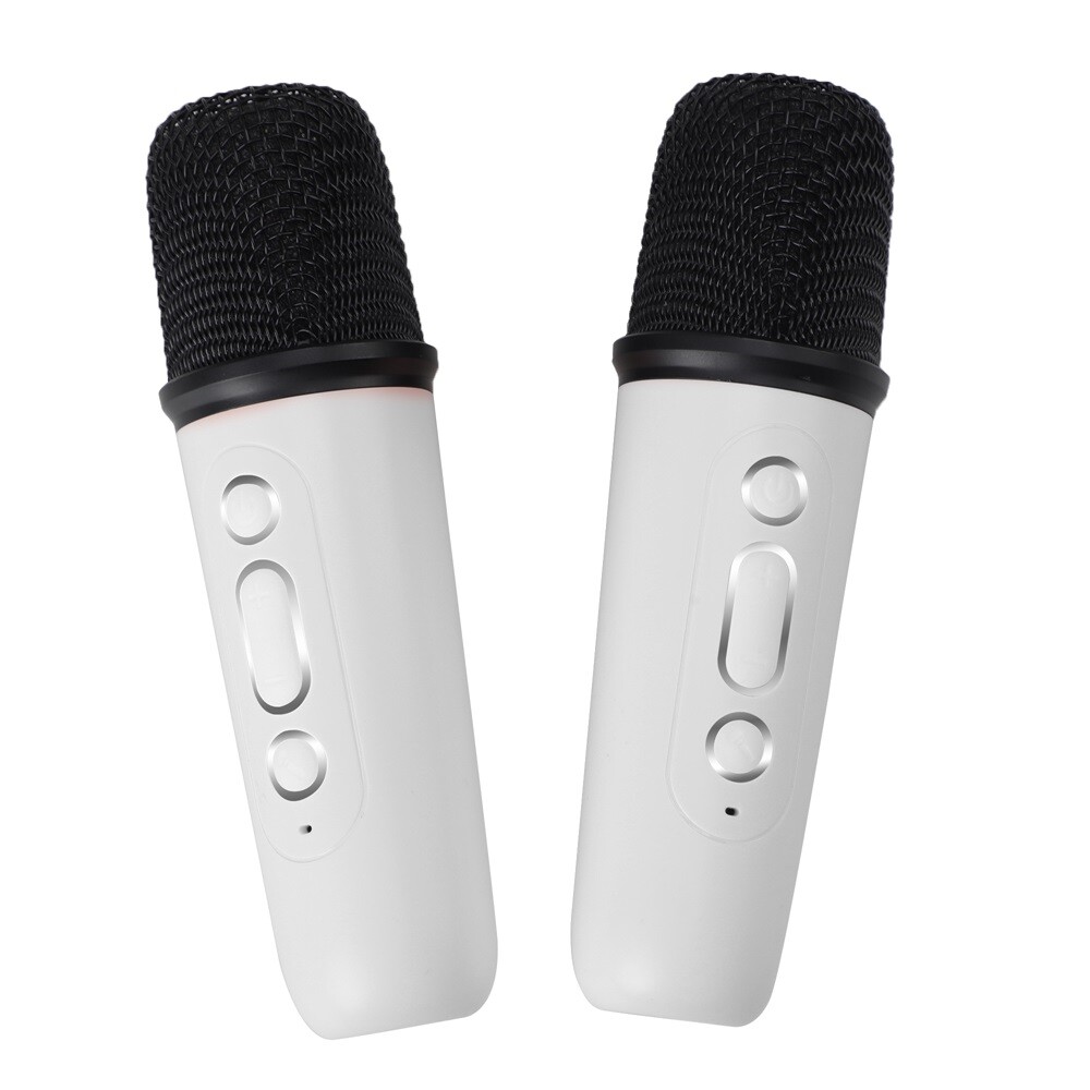 Portable White Bluetooth Karaoke Speaker Machine Kids Mics