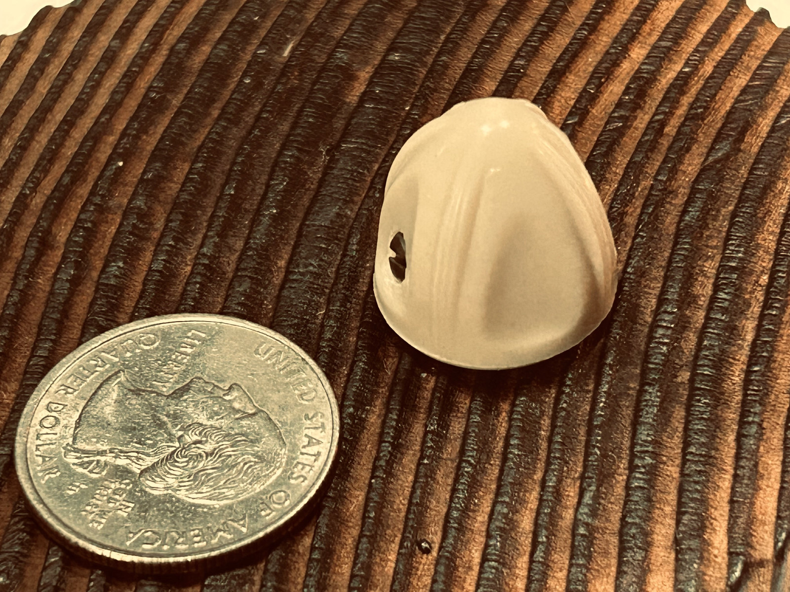 Original Antique Vintage Tube Radio Phono Bakelite Knob with Set Screw 3/4" Dia.
