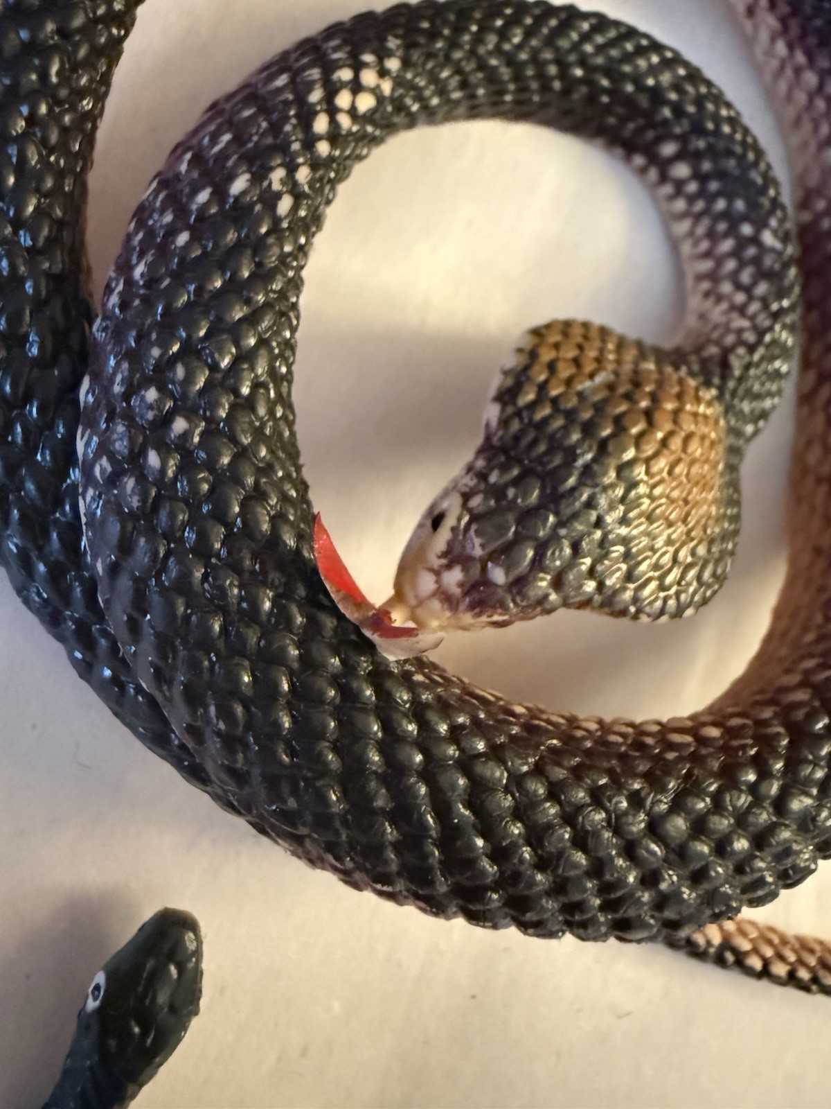 Black Rubber Coiled Snakes set of two