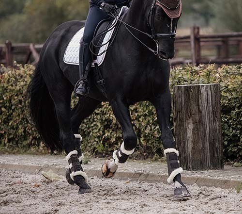 Kentucky Turnout Boots AIR