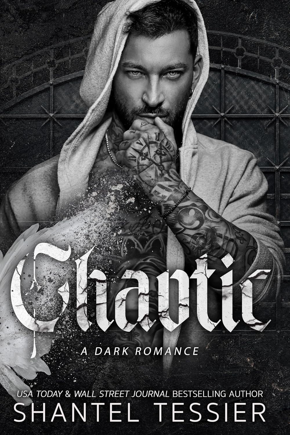 Chaotic A Dark Romance by Shantel Tessier Paperback Brand New Book English