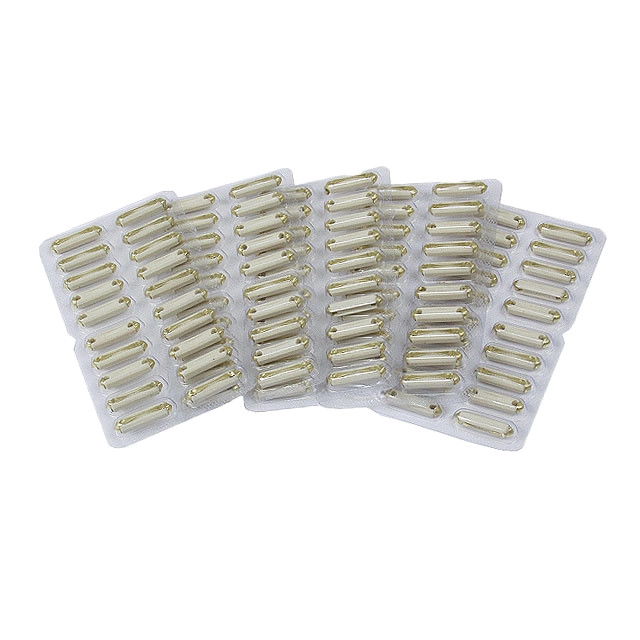 Fuses 8 Amp 5 Pack Dunebuggy & VW