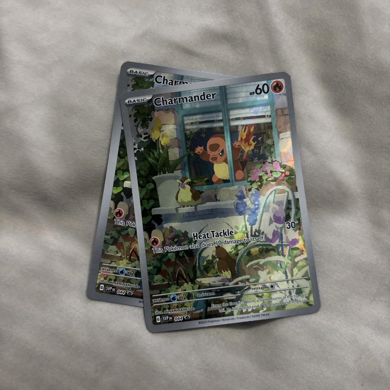 Pokemon Carts
