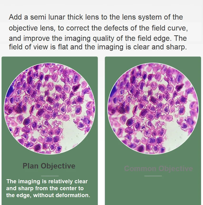 Plan Achromatic Objective Lens Biological Microscope Objectives Standard RMS