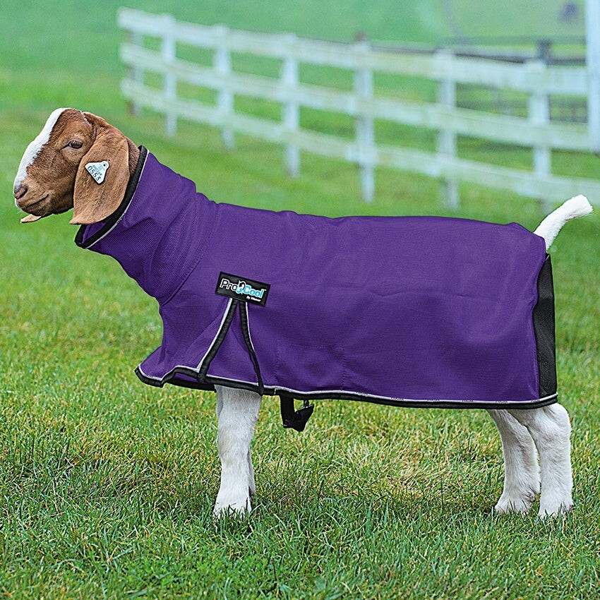 Procool Goat Blanket Xsmall Lime