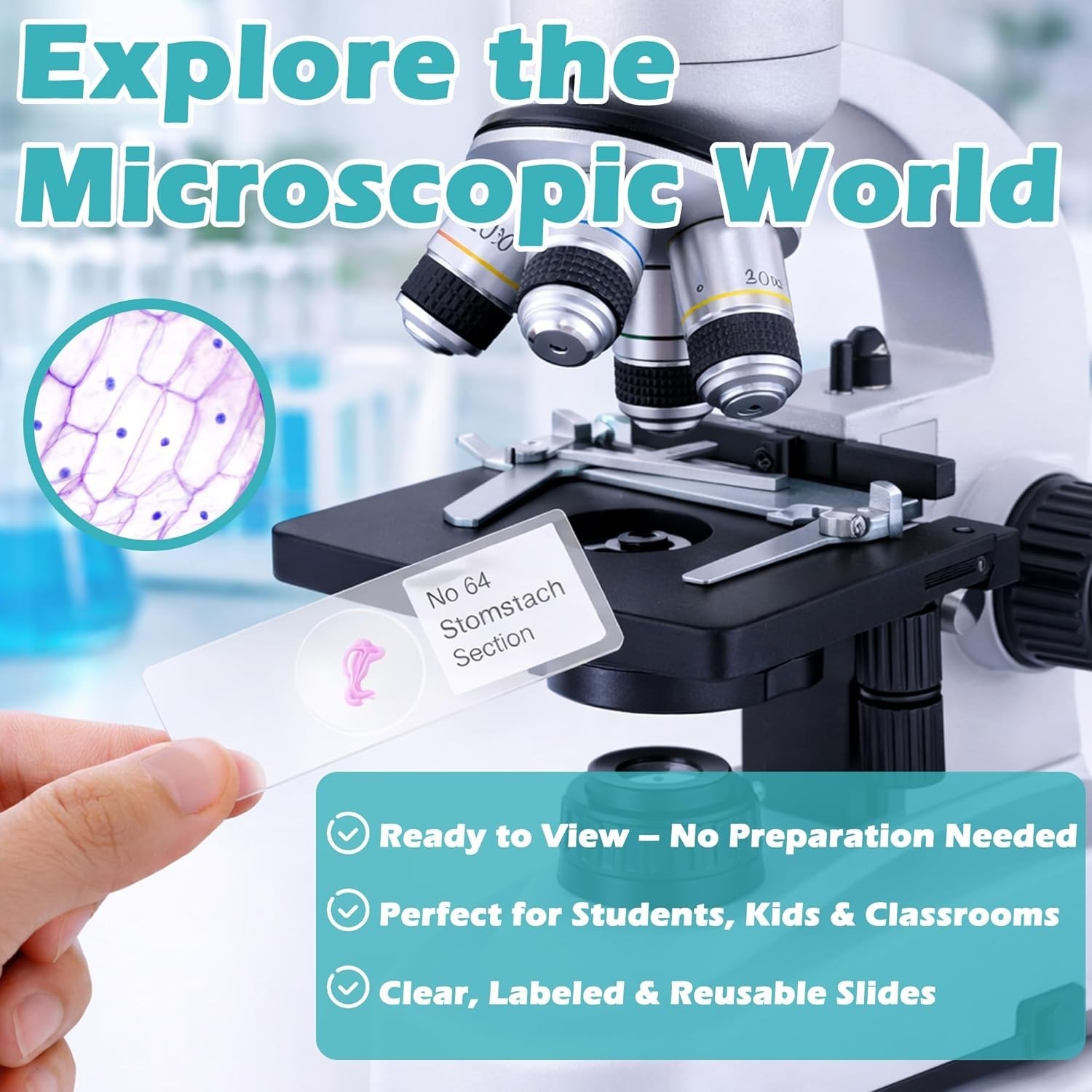 200 Microscope Slides Set with Labels