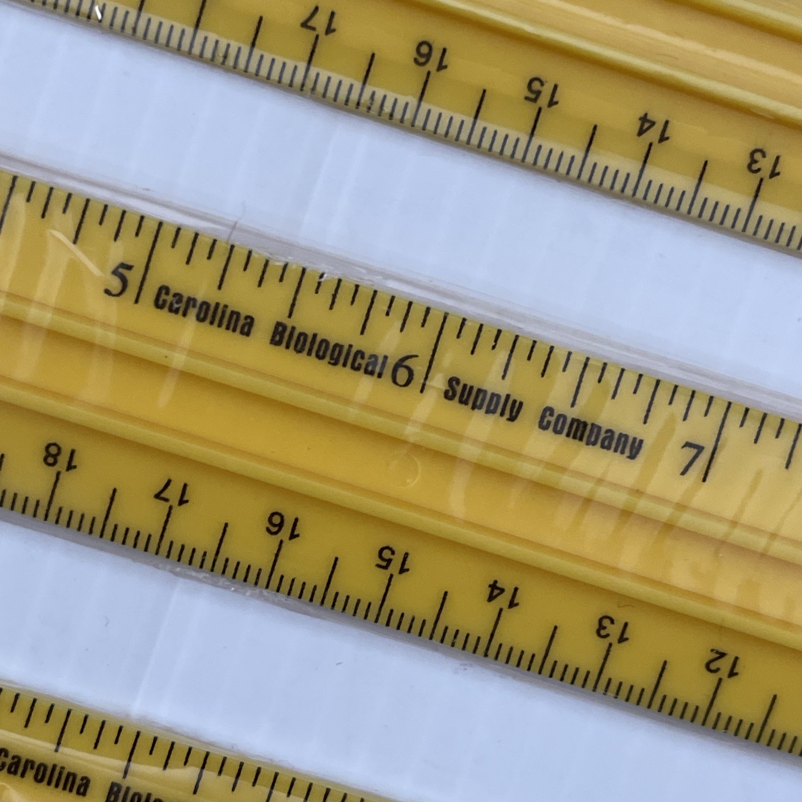 Lot of 3 Rulers Carolina Biological Supply Co. Lab Tool Kit Yellow.