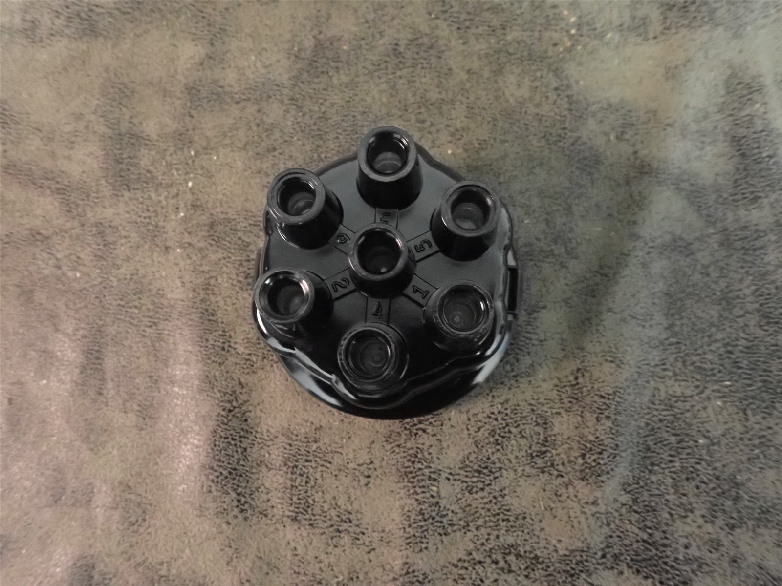 NEW WVE 5D1328 Distributor Cap (G208)