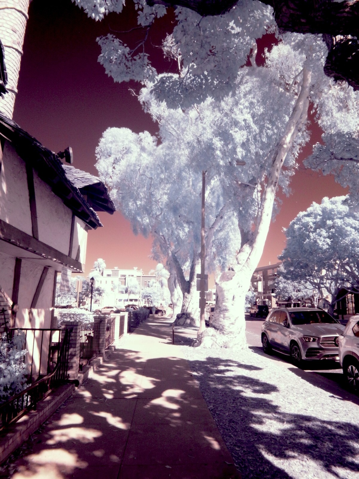 Infrared converted Camera Nikon D70 Full Spectrum