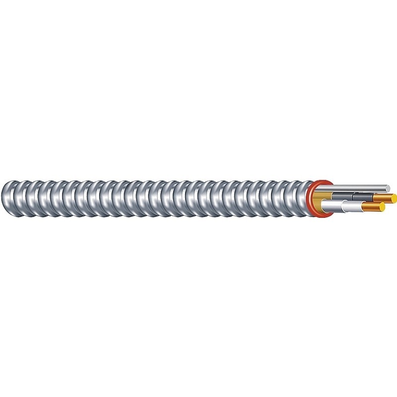 Southwire Duraclad 55278322 Armored Cable, 14 AWG Cable, 2-Conductor, 50 ft L, C