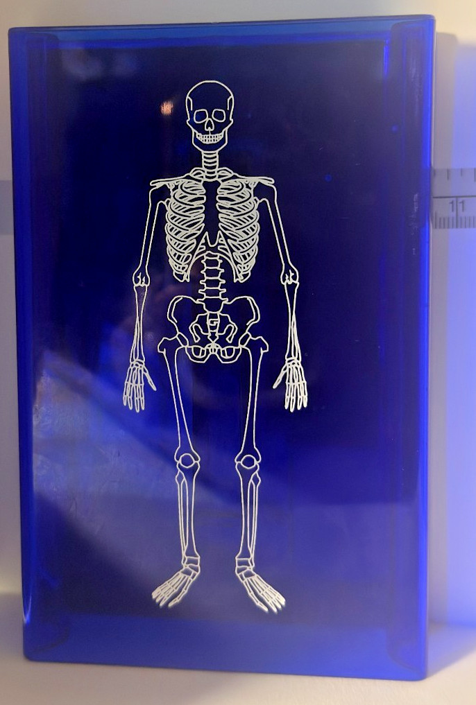 Learning Resources Skeleton Stamp Science Anatomy Classroom Homeschool