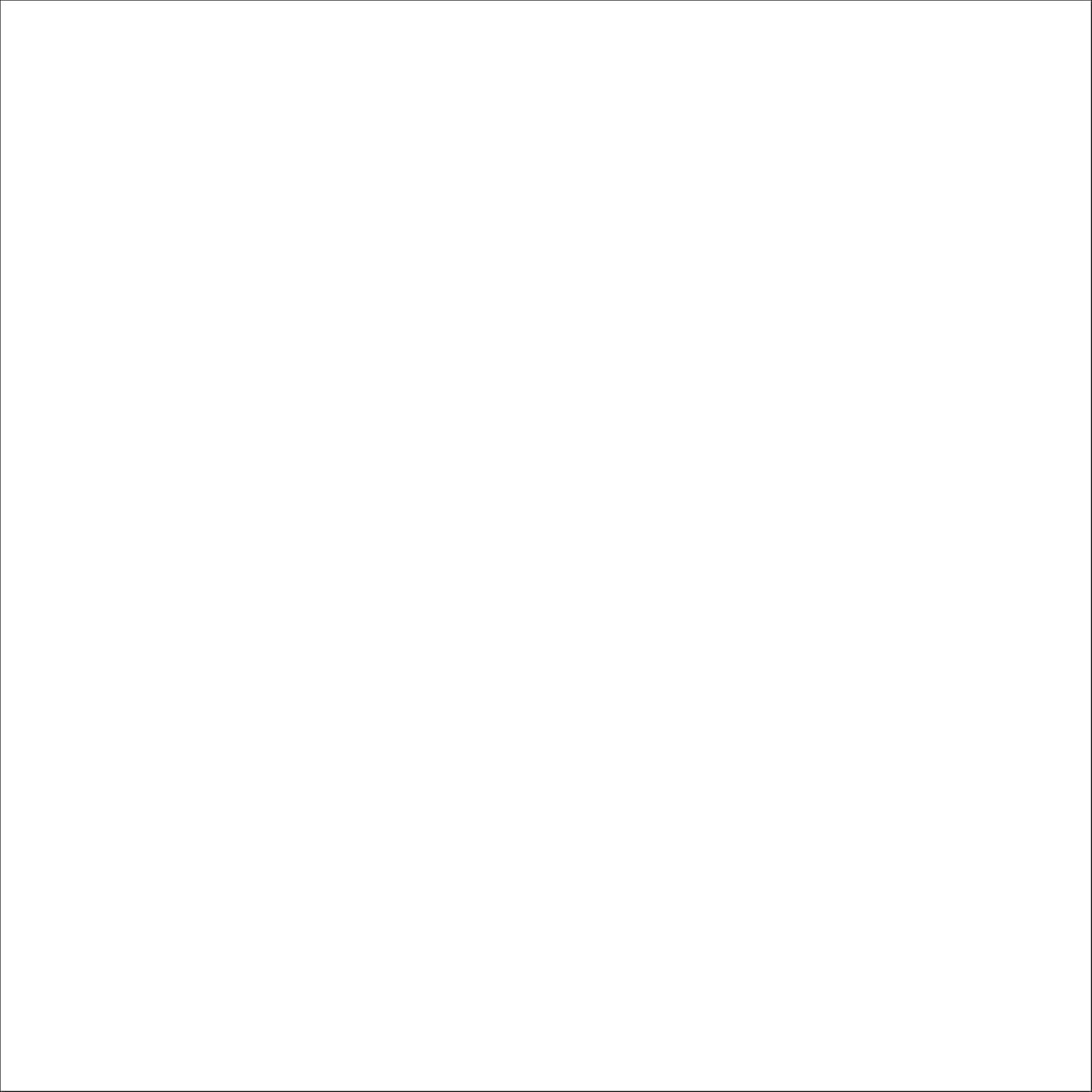 Professional High Performance Enamel Spray Paint Semi-Gloss White 15 oz