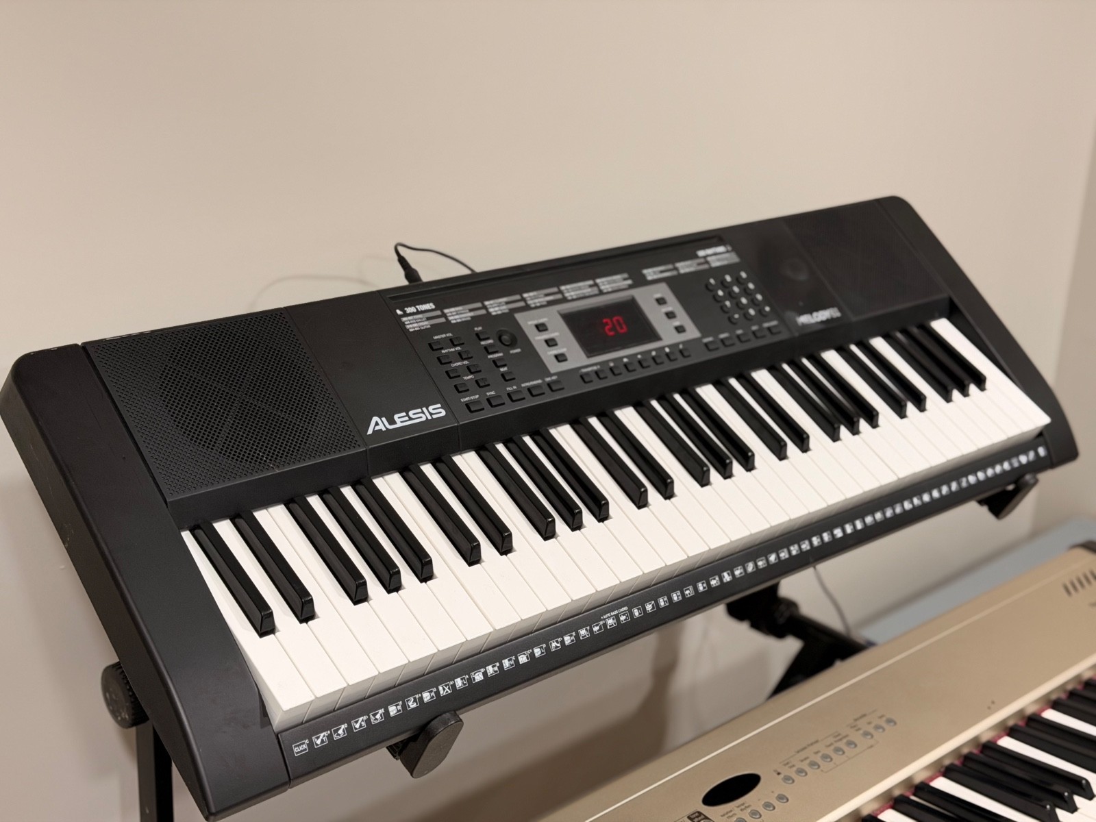 61 Key Digital Piano Alesis Melody 61 Keyboard | SEE VIDEO | 300 Tones/Beats
