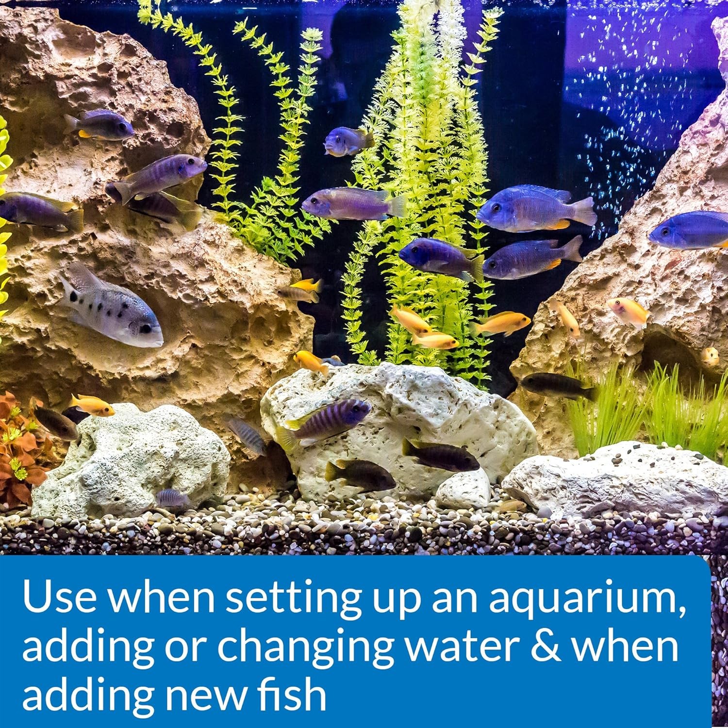 Aquarium Water Conditioner API Stress Coat 16oz
