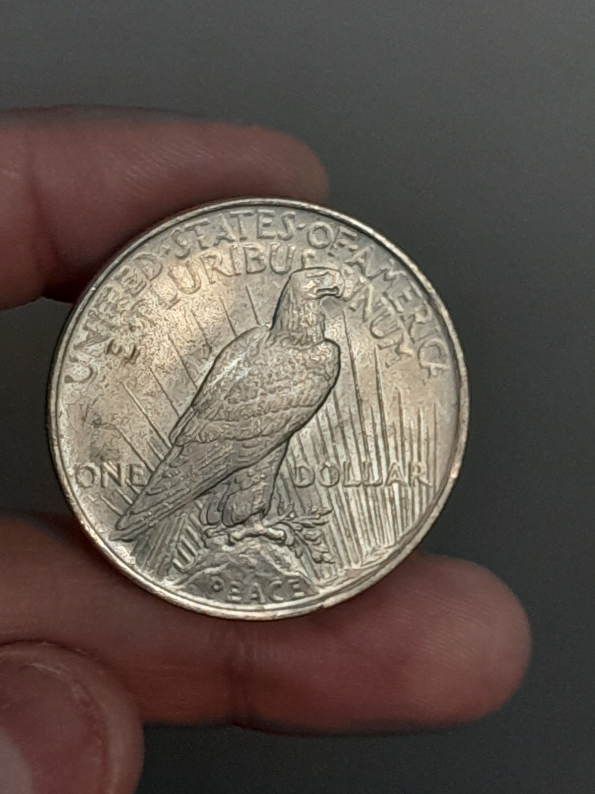 1922 Peace Silver Dollar Uncirculated #3