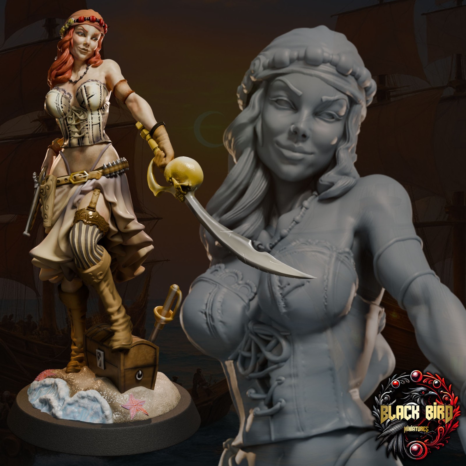 Dungeons & Dragons Playable Character - Female Human Nimera - Rogue, Pirate