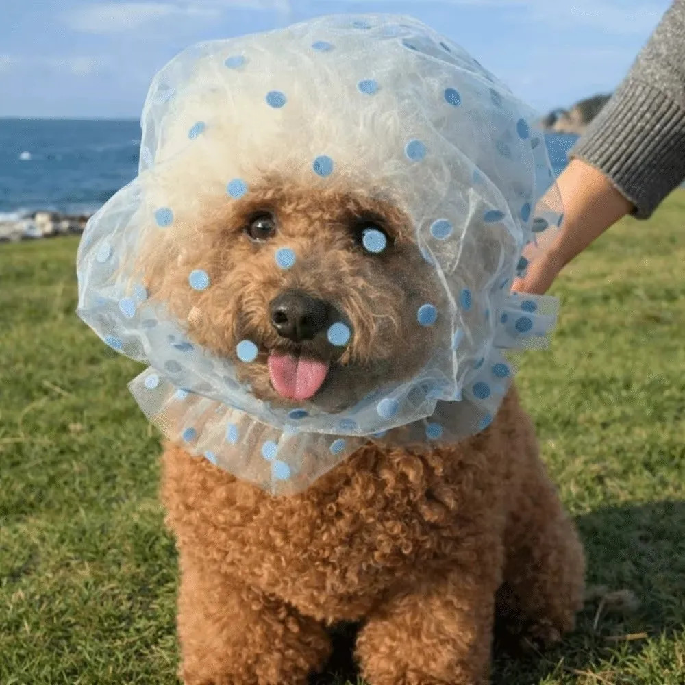 Breathable Dog Anti-eating Veil Comfort Adjustable Pet Dog Mouth Cover Polyester
