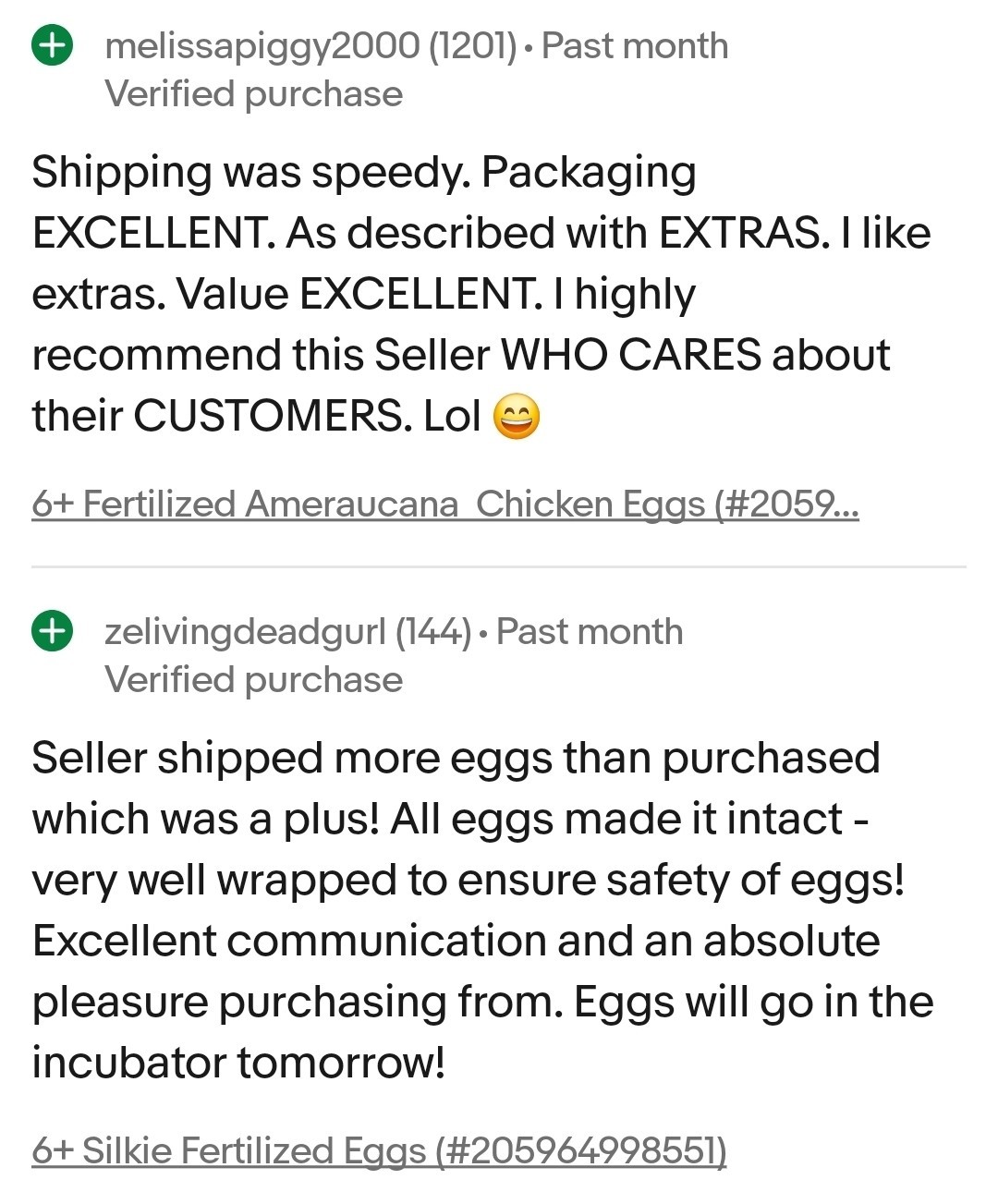 6+ Fertilized Blue & Olive Chicken Eggs