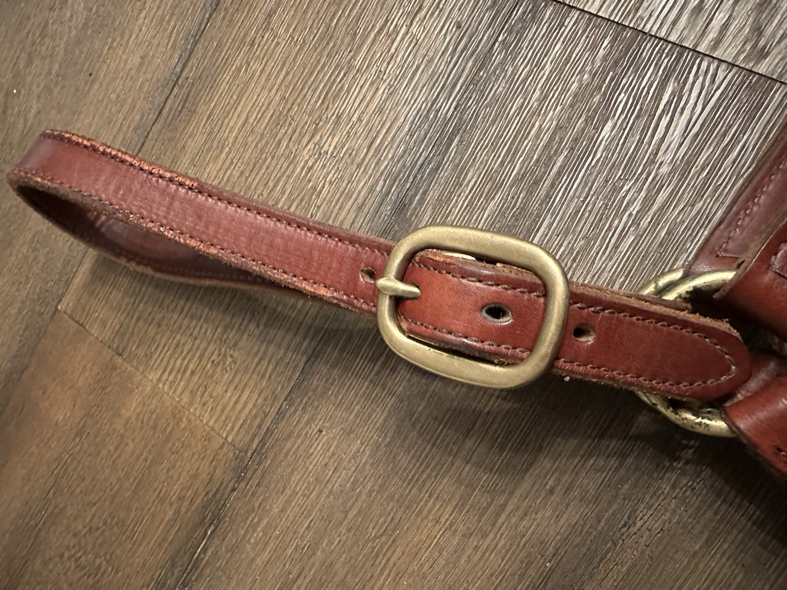 Horse Tack - Leather Track Halter