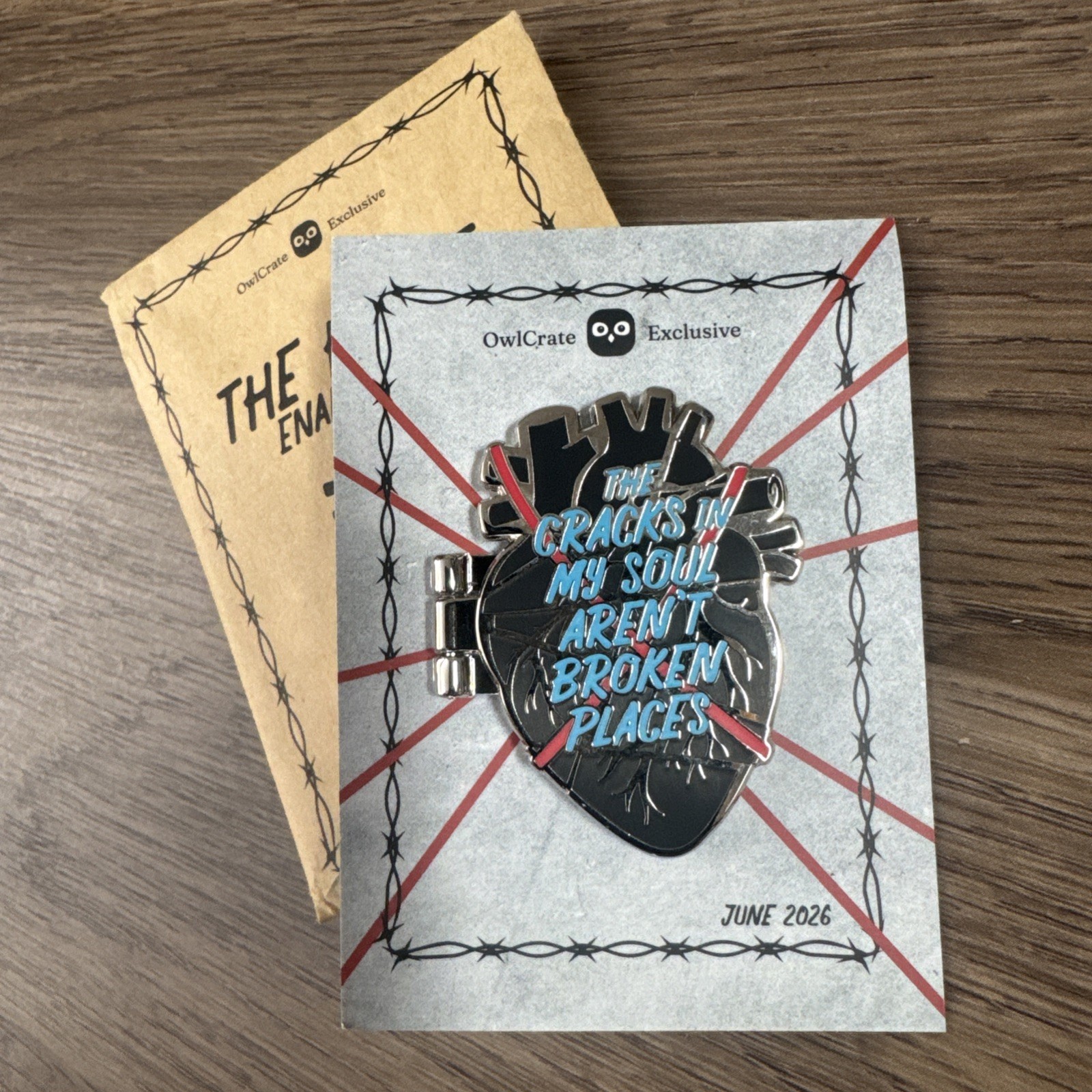 Owlcrate June 2026,The Heart, Enamel Pin inspired by Daggermouth by H.M. Wolfe