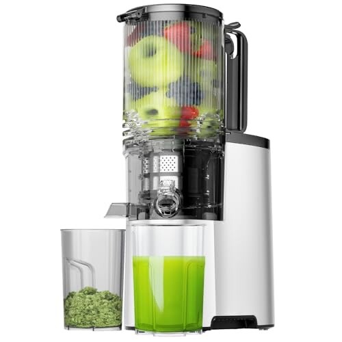 Canoly Masticating Juicer #JE-75B Juice / Pomace Separator Copper Motor Quiet