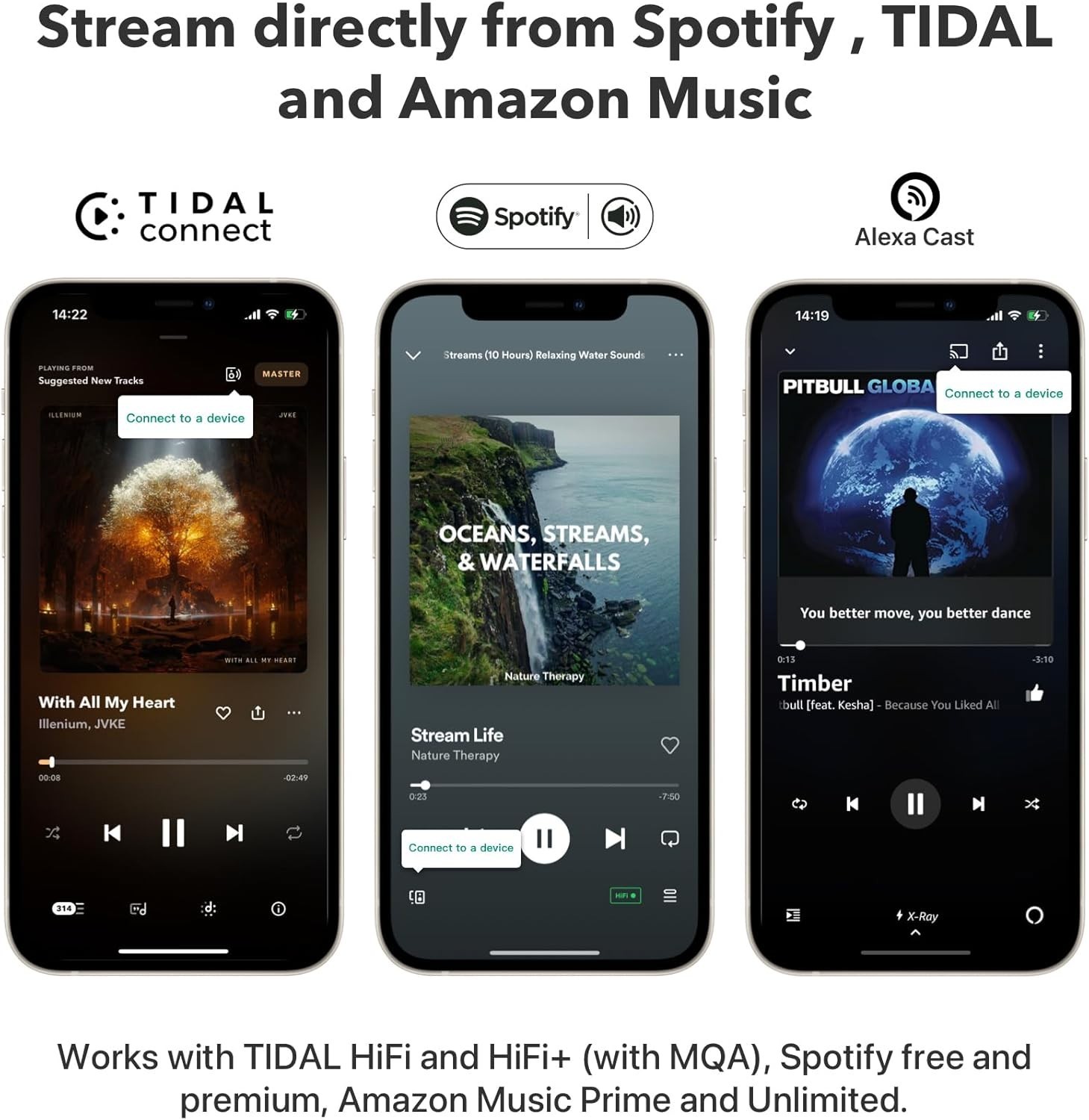 WiiM Pro Plus AirPlay 2 Receiver, Google Cast Audio, Multiroom Streamer