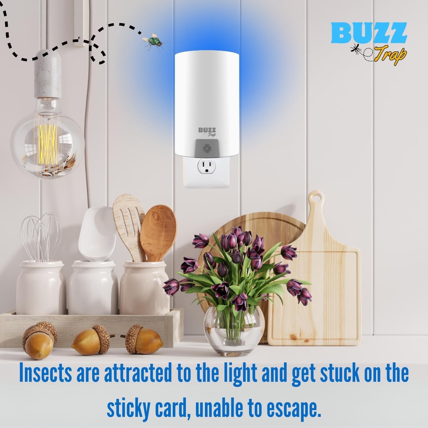 Highly Effective Indoor Fly Trap with UV Light & 4 Refills for Complete Control