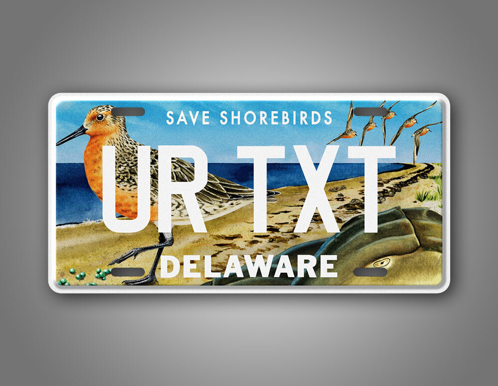 Personalized Delaware Save Shorebirds License Plate 6x12 CustomTag