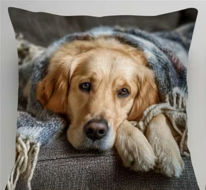 Golden Retriever Dog--Zippered Pillow Cover-14 x 14-inch